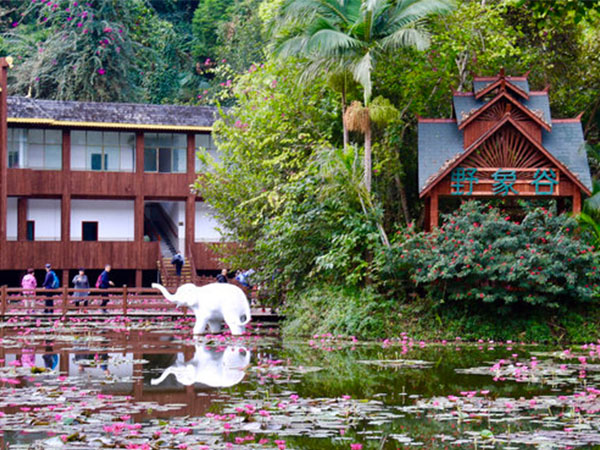 西雙版納野象谷熱帶雨林景區