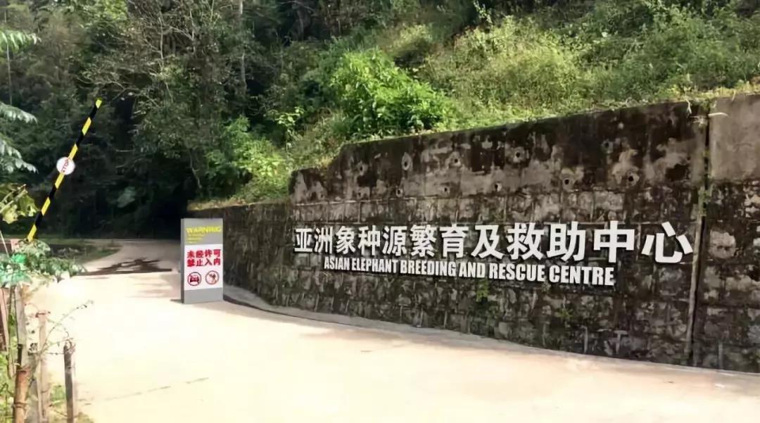 西雙版納你研學旅行夏令營