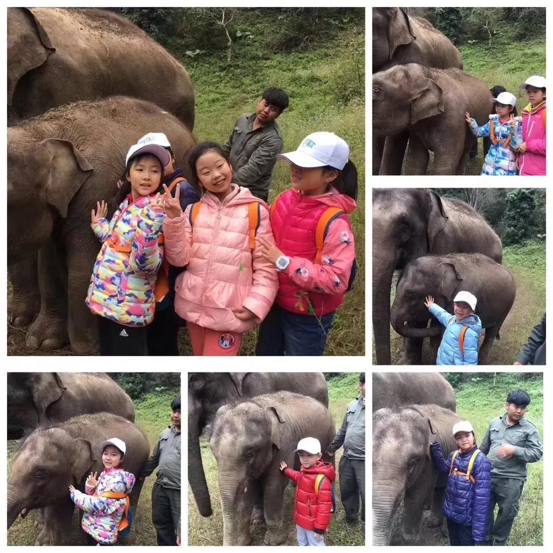 西雙版納研學旅行夏令營