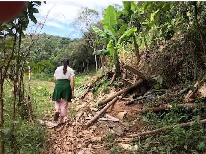 西雙版納研學旅行夏令營