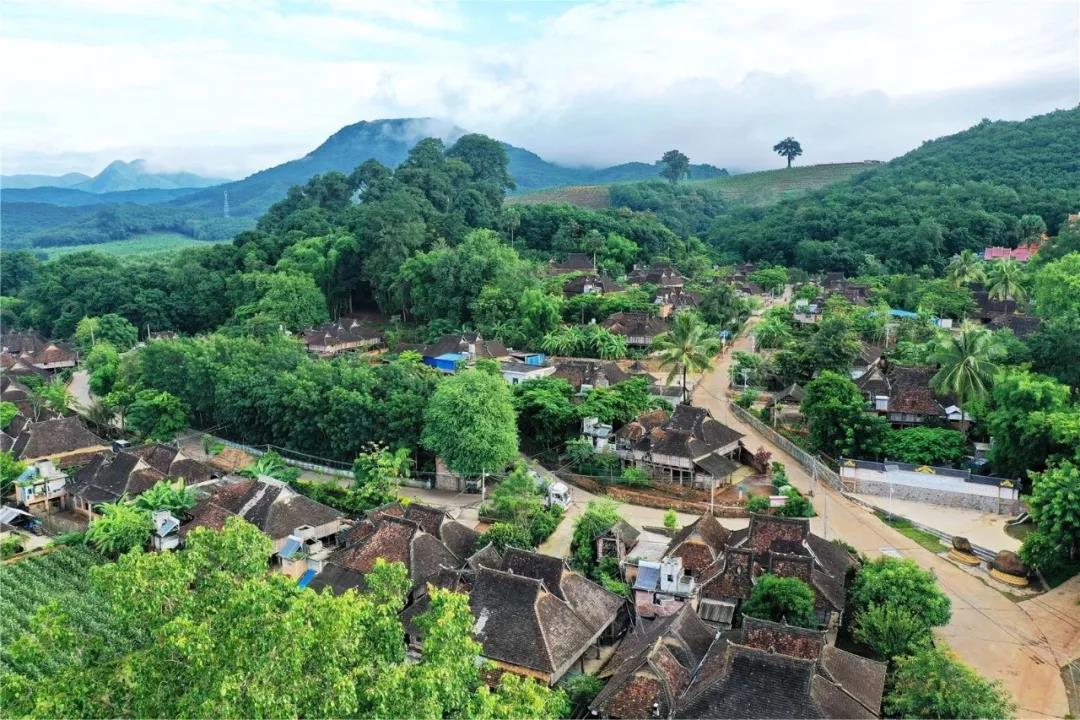 西雙版納研學夏令營