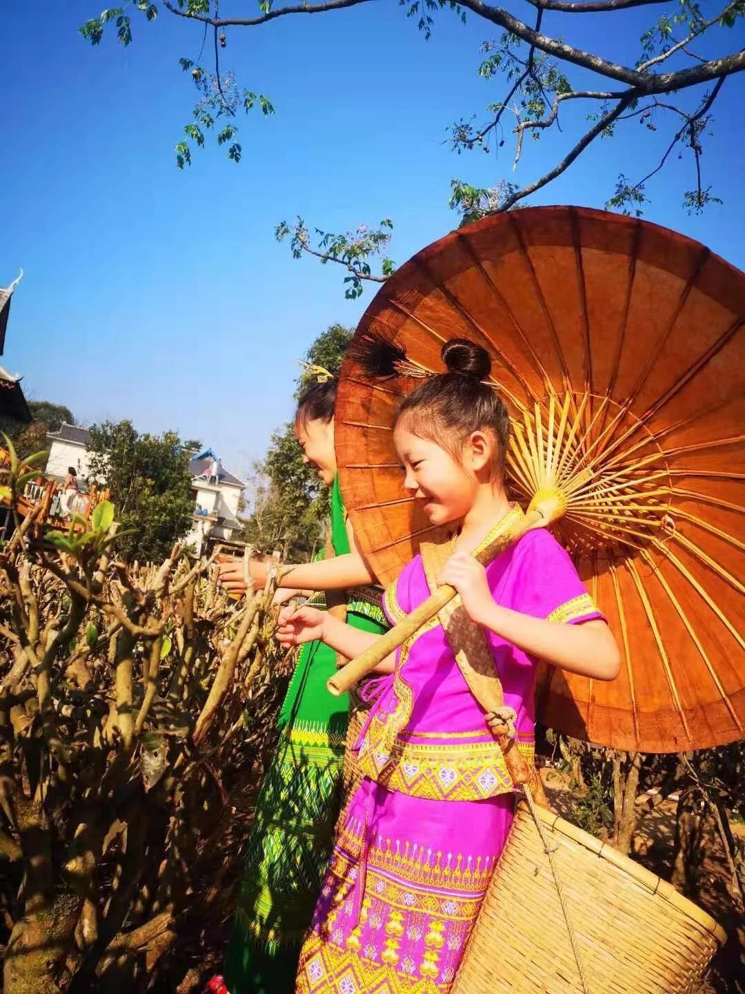 西雙版納研學旅行夏令營