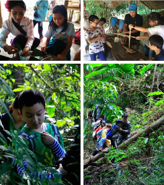 西雙版納研學旅行夏令營