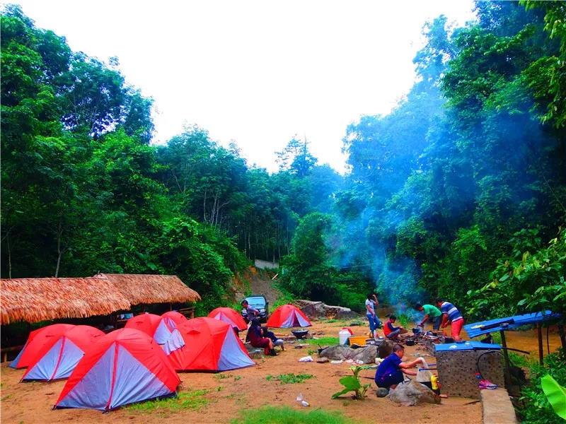 西雙版納夢幻星球：雨林，傣鄉，動植物王國，綠色環保教育7天6晚探秘營