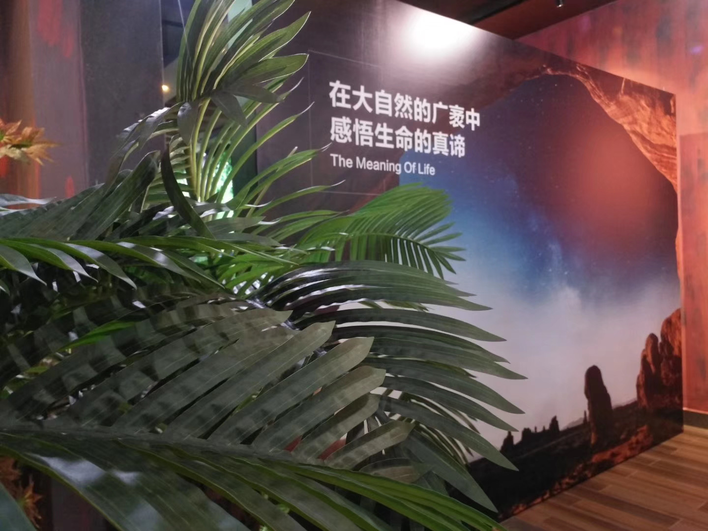 西雙版納會(huì)議網(wǎng)