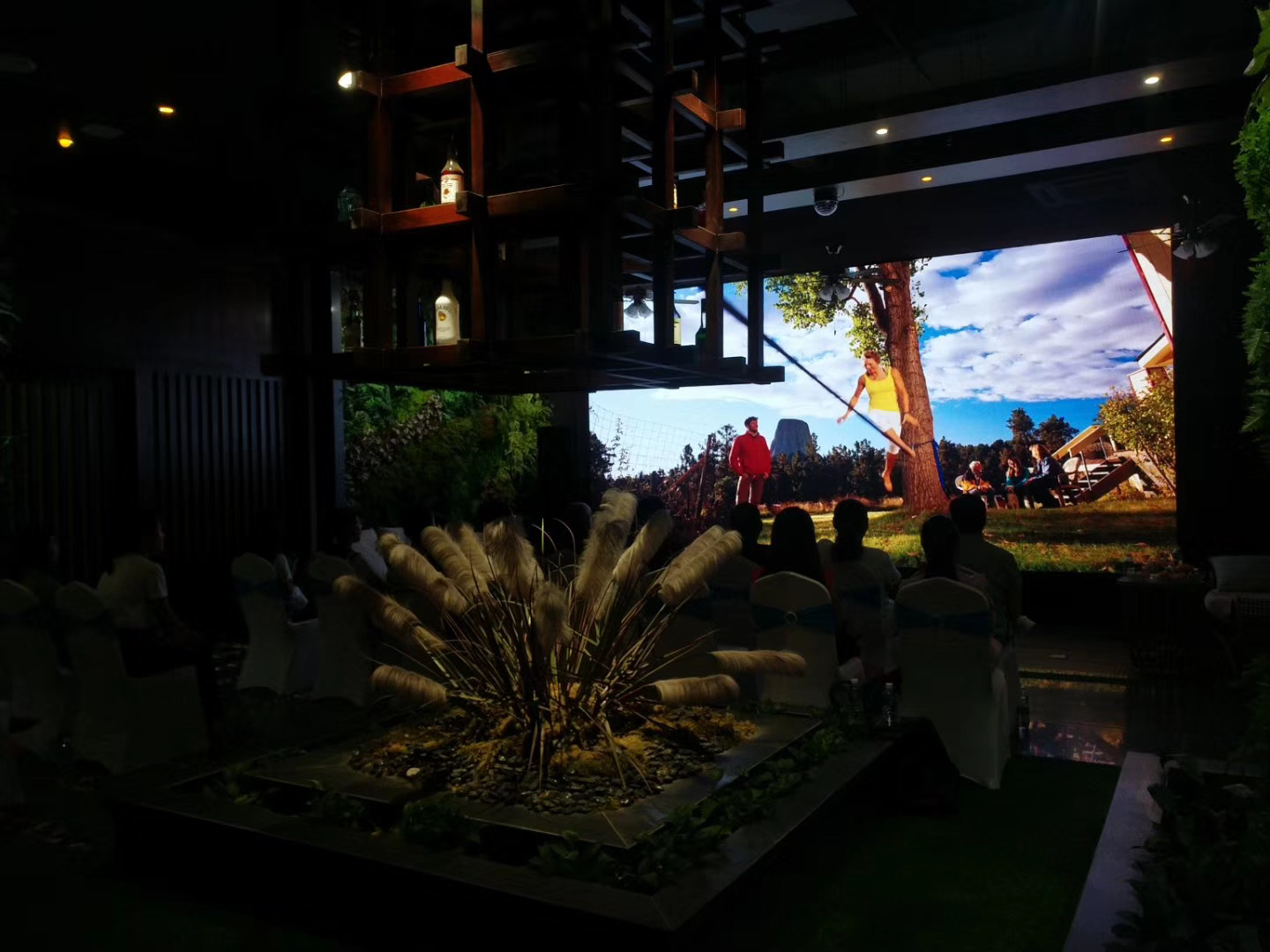 西雙版納會(huì)議