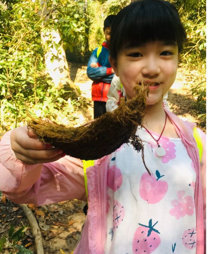 西雙版納研學夏令營