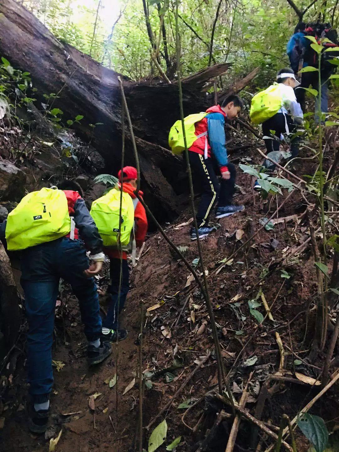 西雙版納研學夏令營