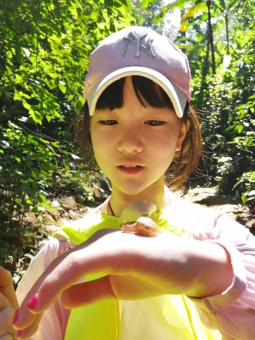 西雙版納研學夏令營