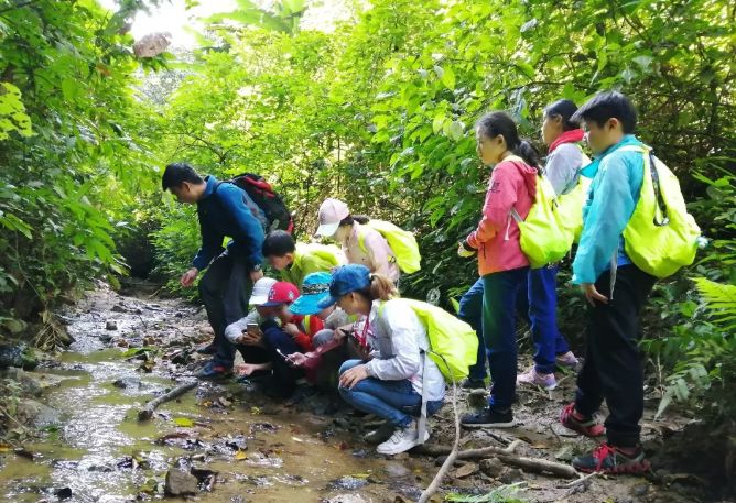 西雙版納研學夏令營