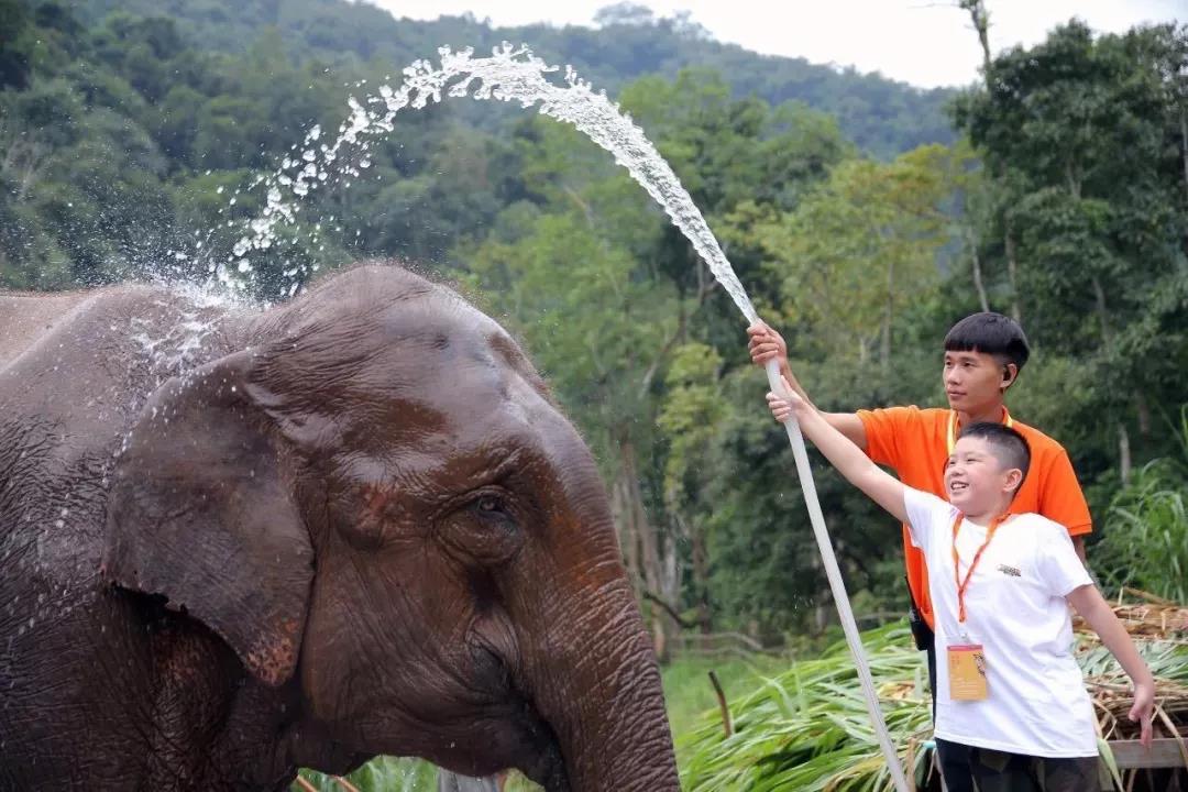 西雙版納研學夏令營