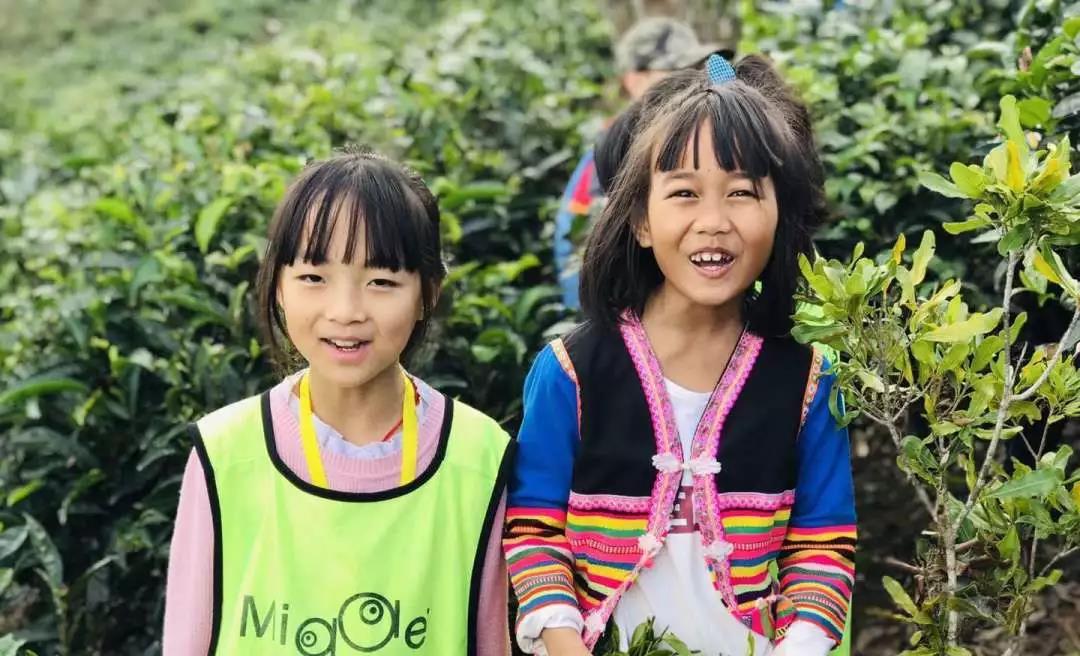 西雙版納研學夏令營