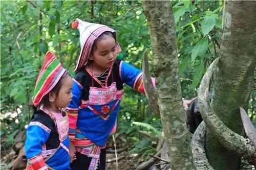 西雙版納研學夏令營