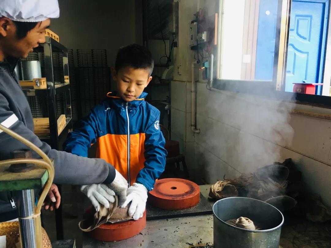 西雙版納研學夏令營