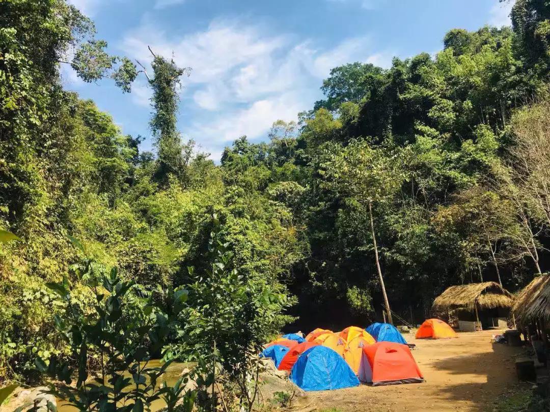 西雙版納研學夏令營