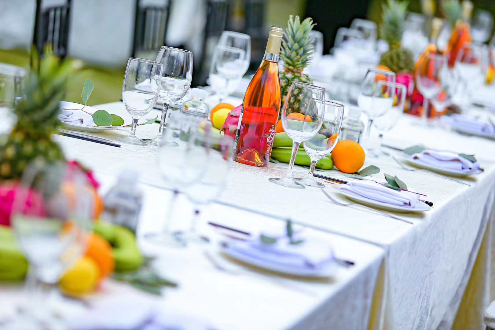 西雙版納發布會