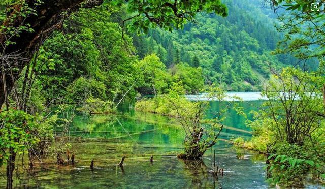 西雙版納熱帶雨林穿越拓展訓(xùn)練主題團(tuán)建