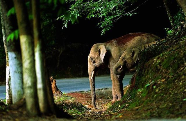 西雙版納熱帶雨林穿越拓展訓(xùn)練主題團(tuán)建