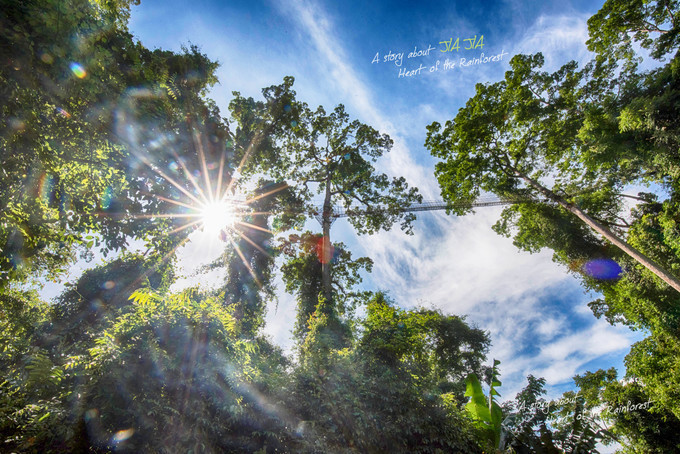 西雙版納熱帶雨林穿越拓展訓(xùn)練主題團(tuán)建