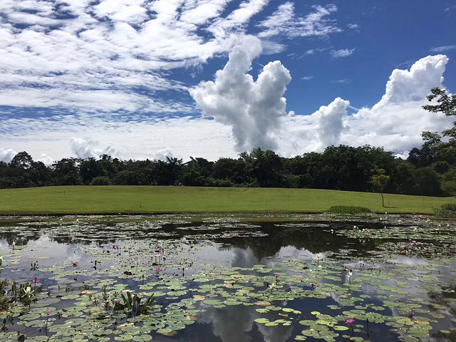 西雙版納熱帶雨林穿越拓展訓(xùn)練主題團(tuán)建
