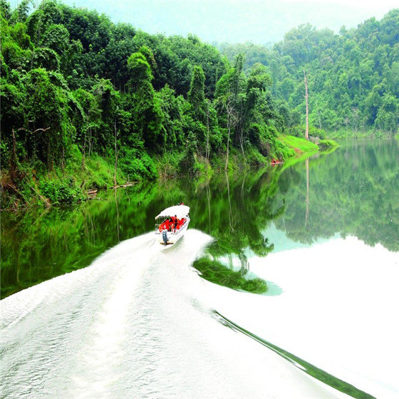 西雙版納熱帶雨林穿越拓展訓(xùn)練主題團(tuán)建