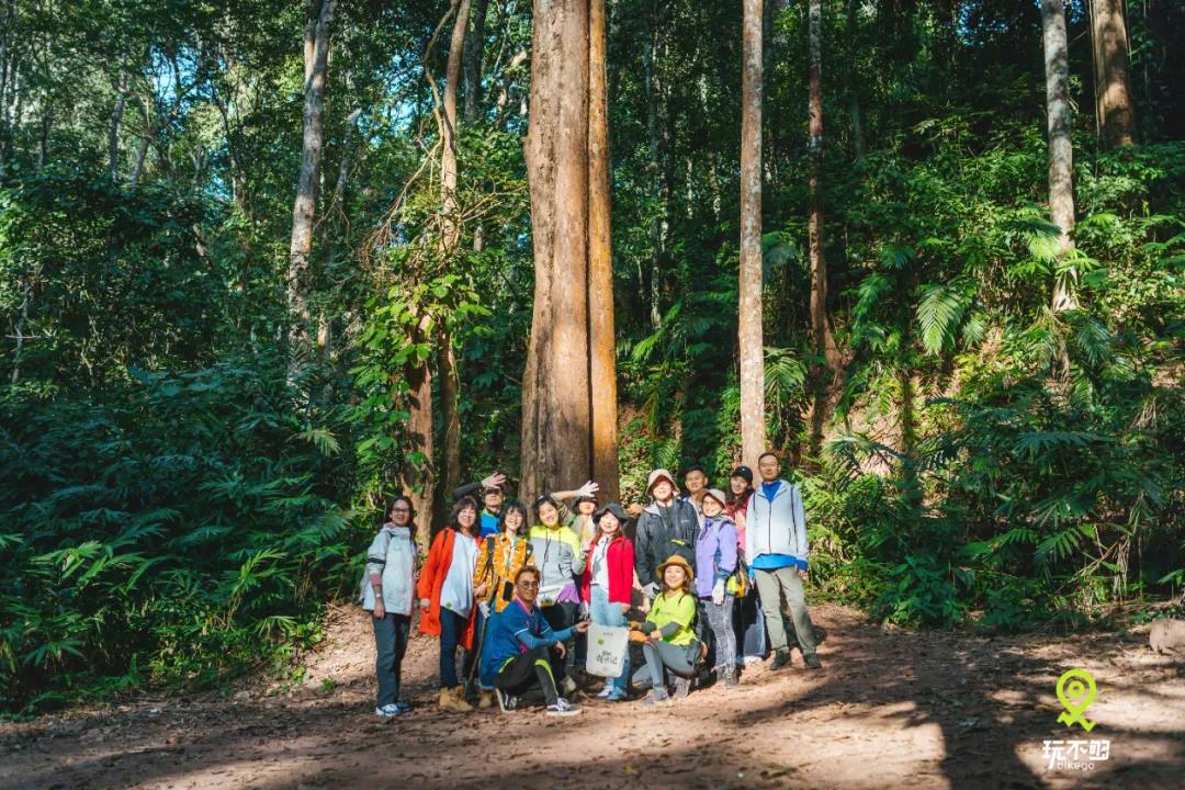 冬天就去西雙版納！擼小熊貓、住進大自然，邂逅25℃的溫暖
