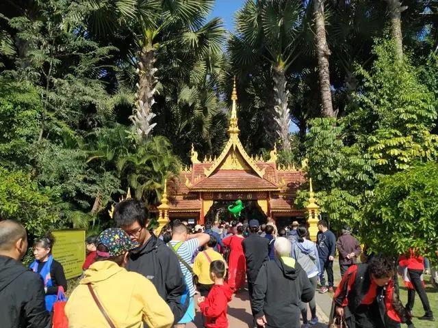 美到極致！2021年，請收下這封來自的西雙版納的邀請函！