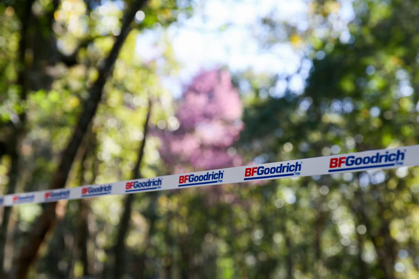 西雙版納南糯山試乘試駕