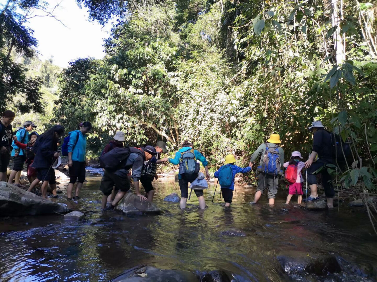 中國云南西雙版納勐遠仙境+溶洞觀光+雨林徒步+地心軟探險一日游
