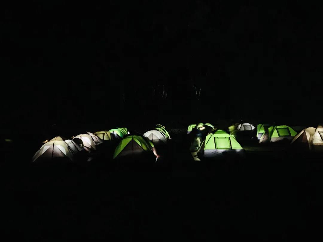 西雙版納旅行團建