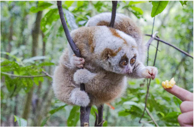 “三大世界級資源” 打造文旅放心消費(fèi)標(biāo)桿