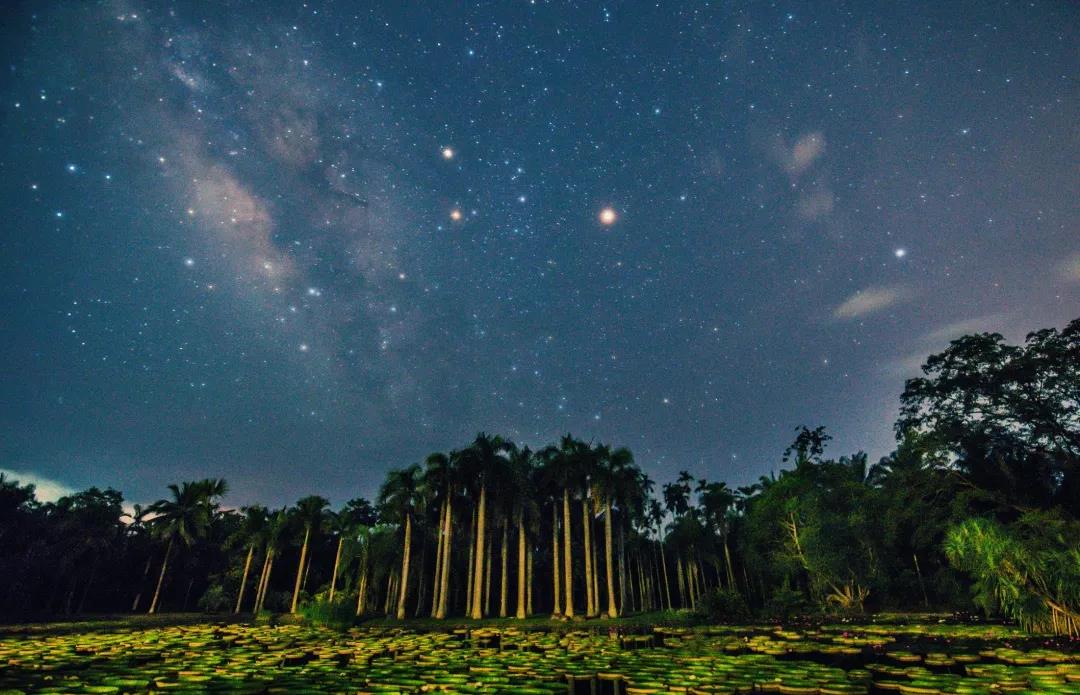 全國斷崖式降溫，西雙版納給你發旅行邀請函了    西雙版納傳媒公司
