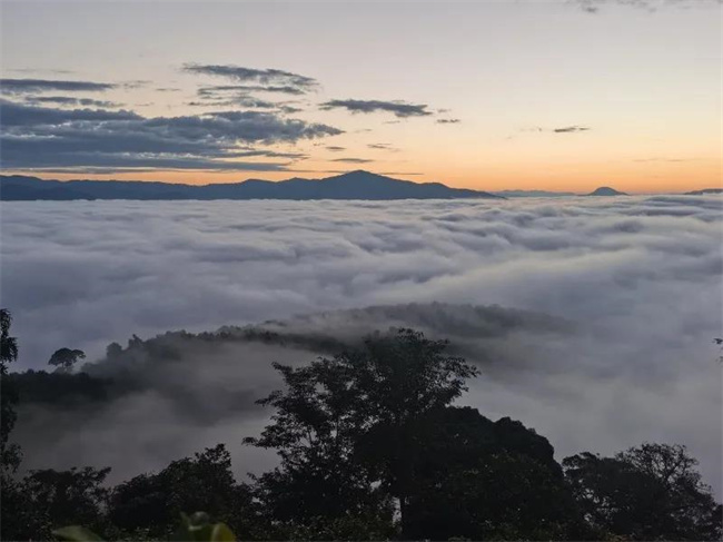 西雙版納傳媒公司：這個冬天快來版納看云海吧！