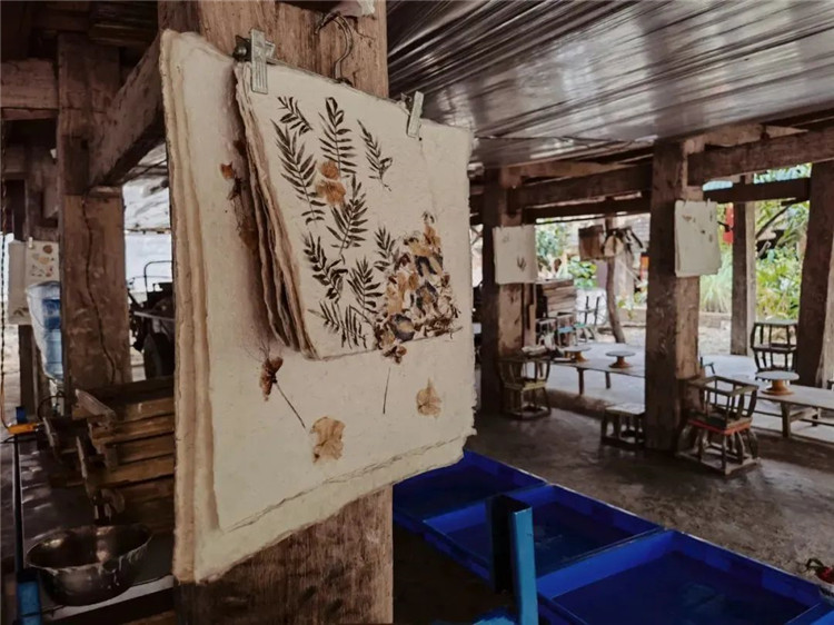 西雙版納周邊游推薦：水中摸魚，田里插秧，這個周末我們田野相見