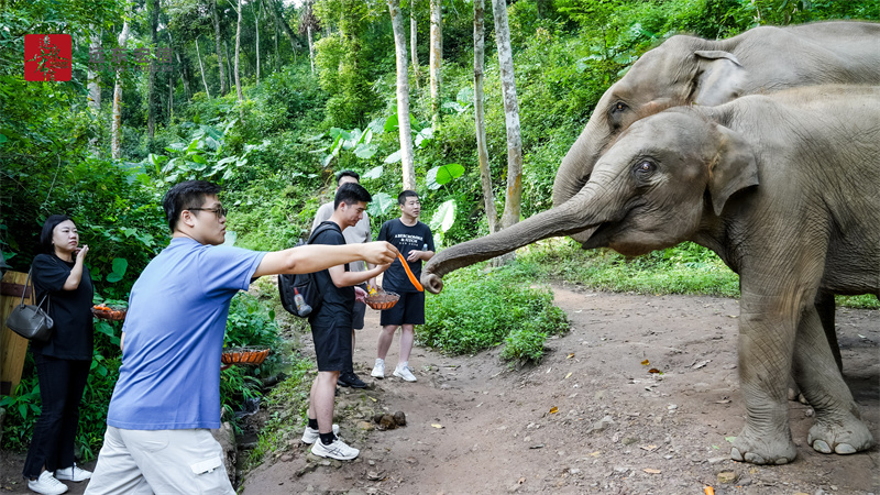西雙版納皇冠假日酒店會議會展案例