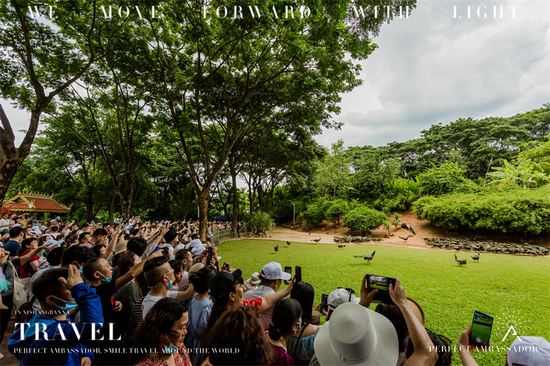 西雙版納湄公河景蘭大酒店告莊西雙景千人電音節