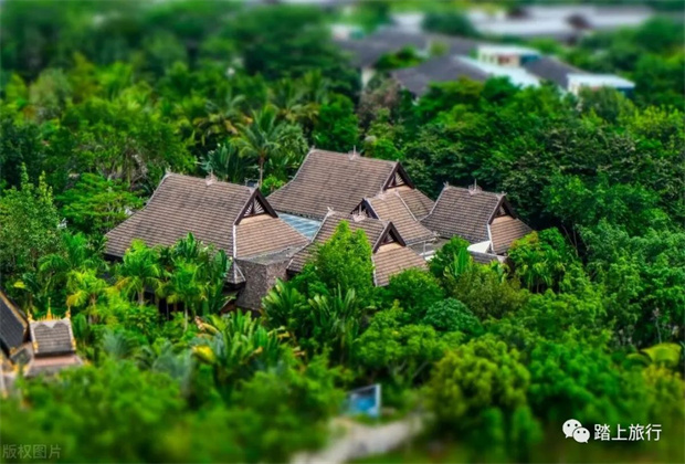 去西雙版納，這8大景點一定要去一次