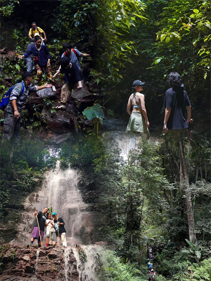 西雙版納探索靜謐的雨林，感受自然的治愈4條小眾徒步路線，保姆級攻略