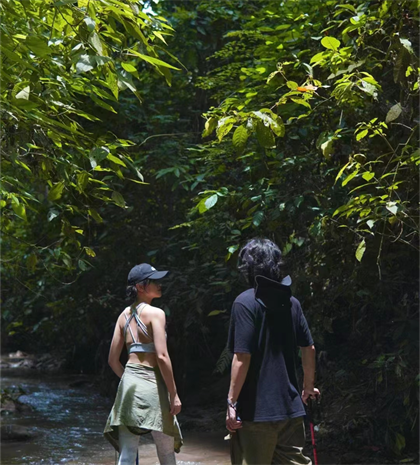 雨林穿越風很大，跟著小編一起去勐遠仙境開啟治愈之旅吧！