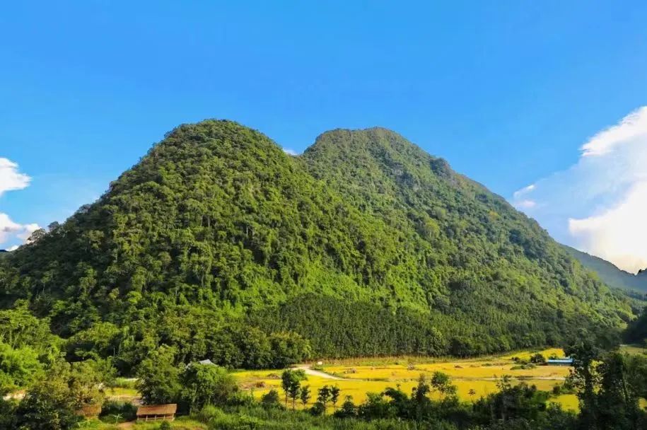 探索夢(mèng)幻秘境，解鎖勐遠(yuǎn)仙境：一場(chǎng)說(shuō)走就走的自然奇遇之旅