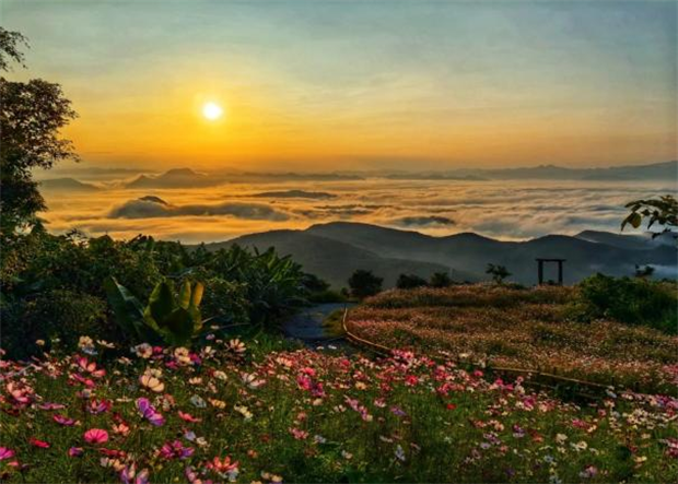 云南旅游,云南旅行社,云南團建公司,云南會議會展,西雙版納旅游,西雙版納旅行社,西雙版納團建公司：旅居西雙版納 | 基諾雨林尋幽探秘 傣鄉潑水賞花